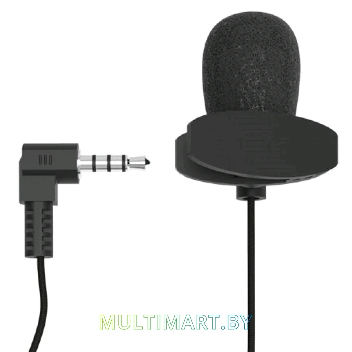 Микрофон Ritmix RCM-102